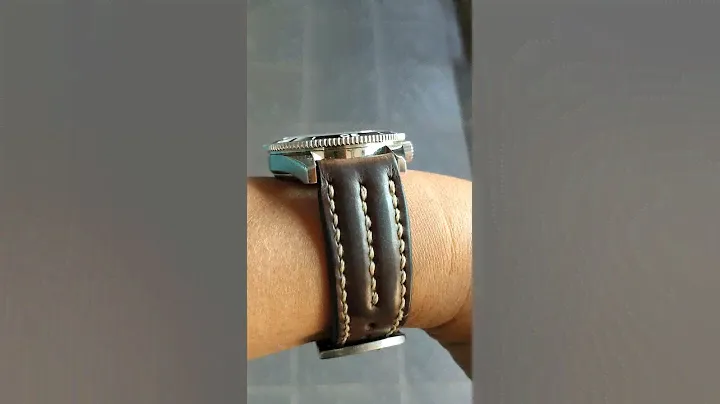 seamaster homage swiss eta 2836