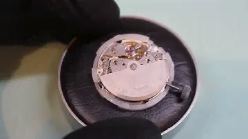 Crown and Stem Release Miyota 8215 Watch Movement