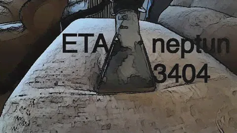 Eta neptun 3404 wet cleaning