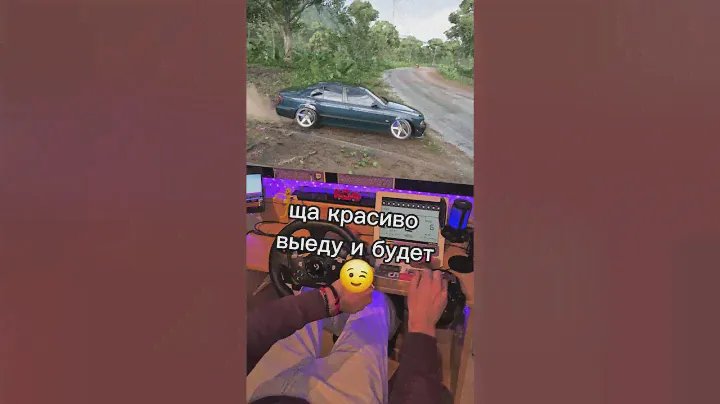 настройки руля в форза хоризон 5 / fh5 wheel settings